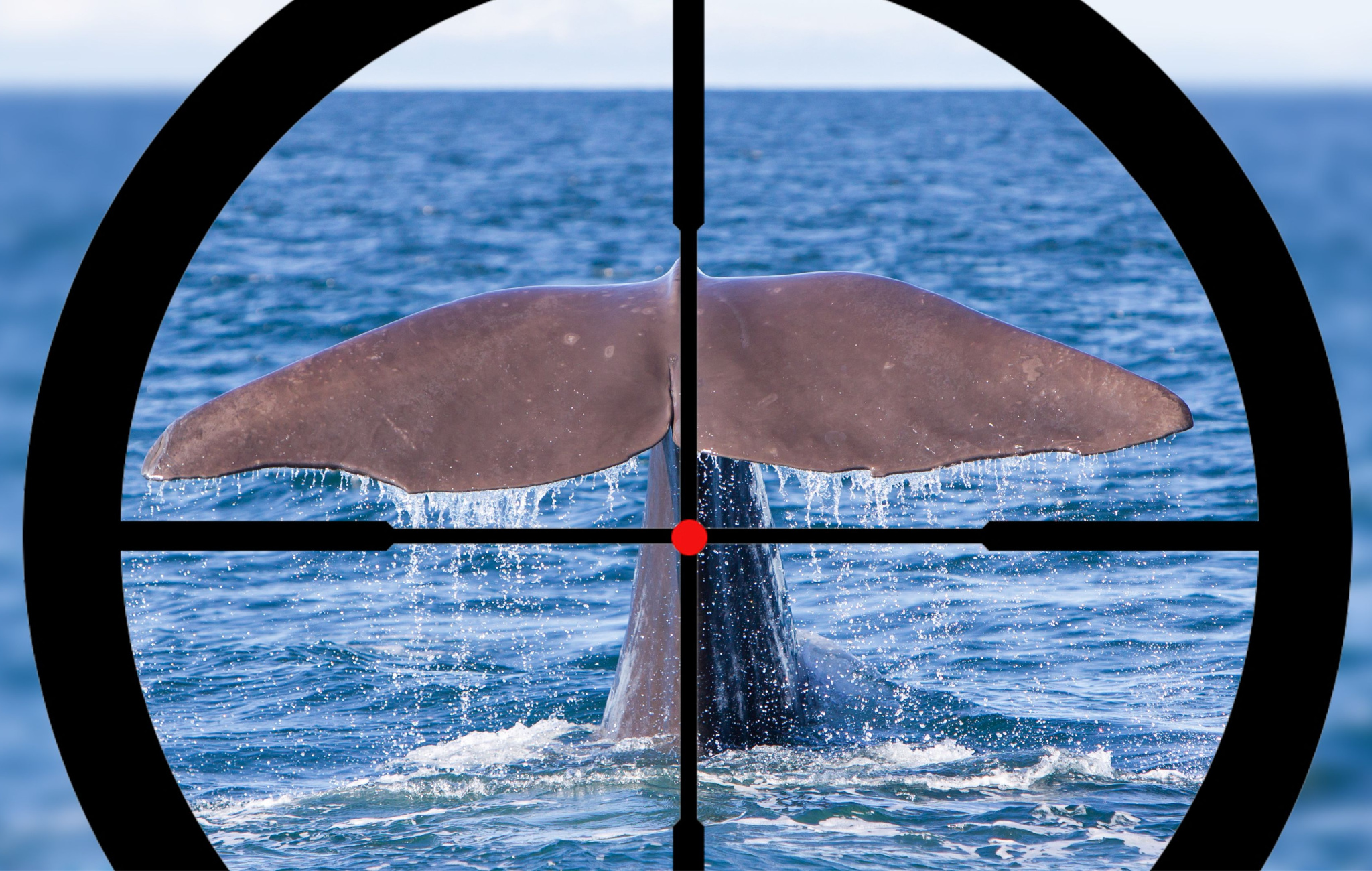 The FTC’s Amazonian Snipe Hunt