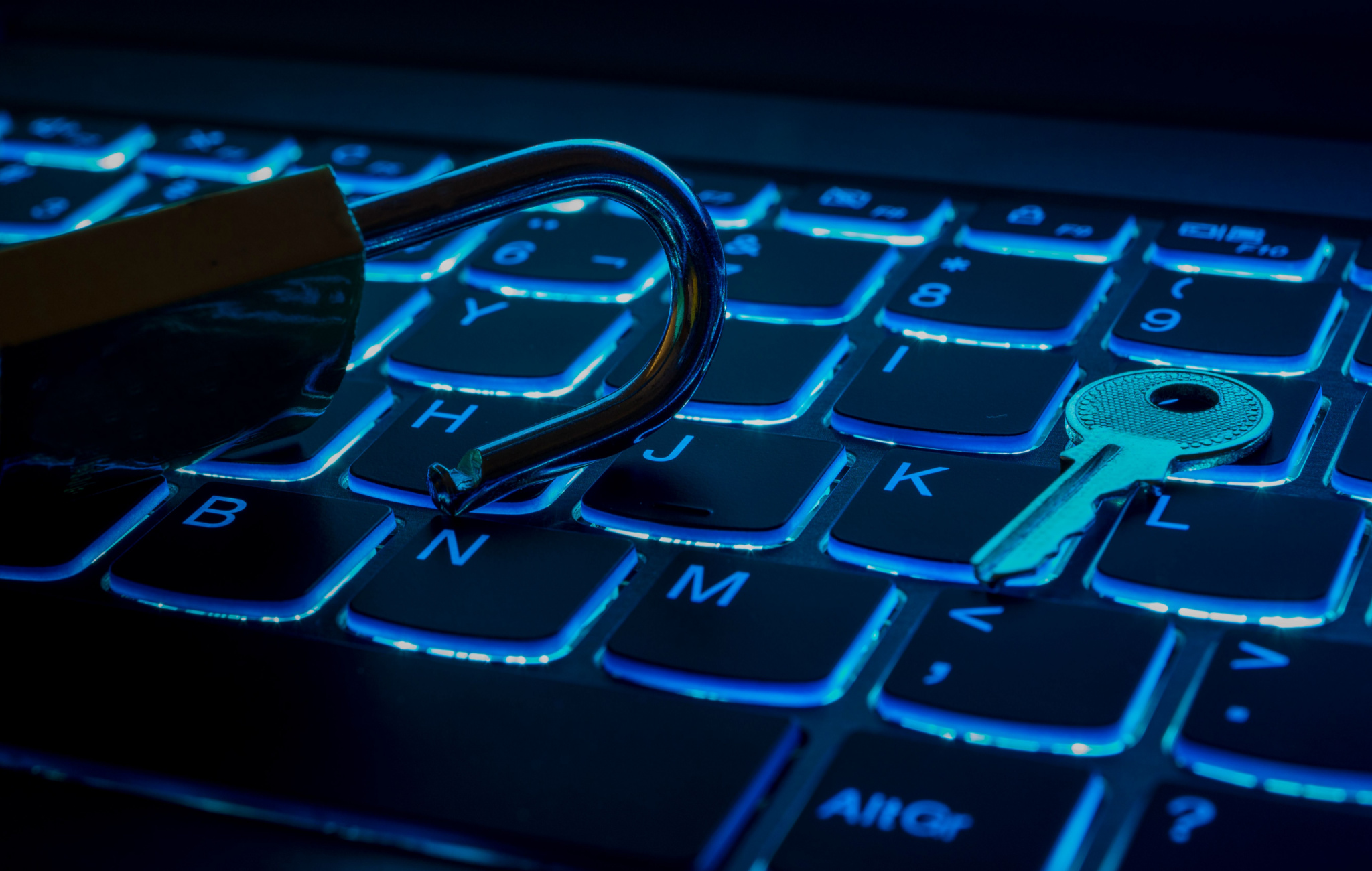 The Economics of Data Privacy