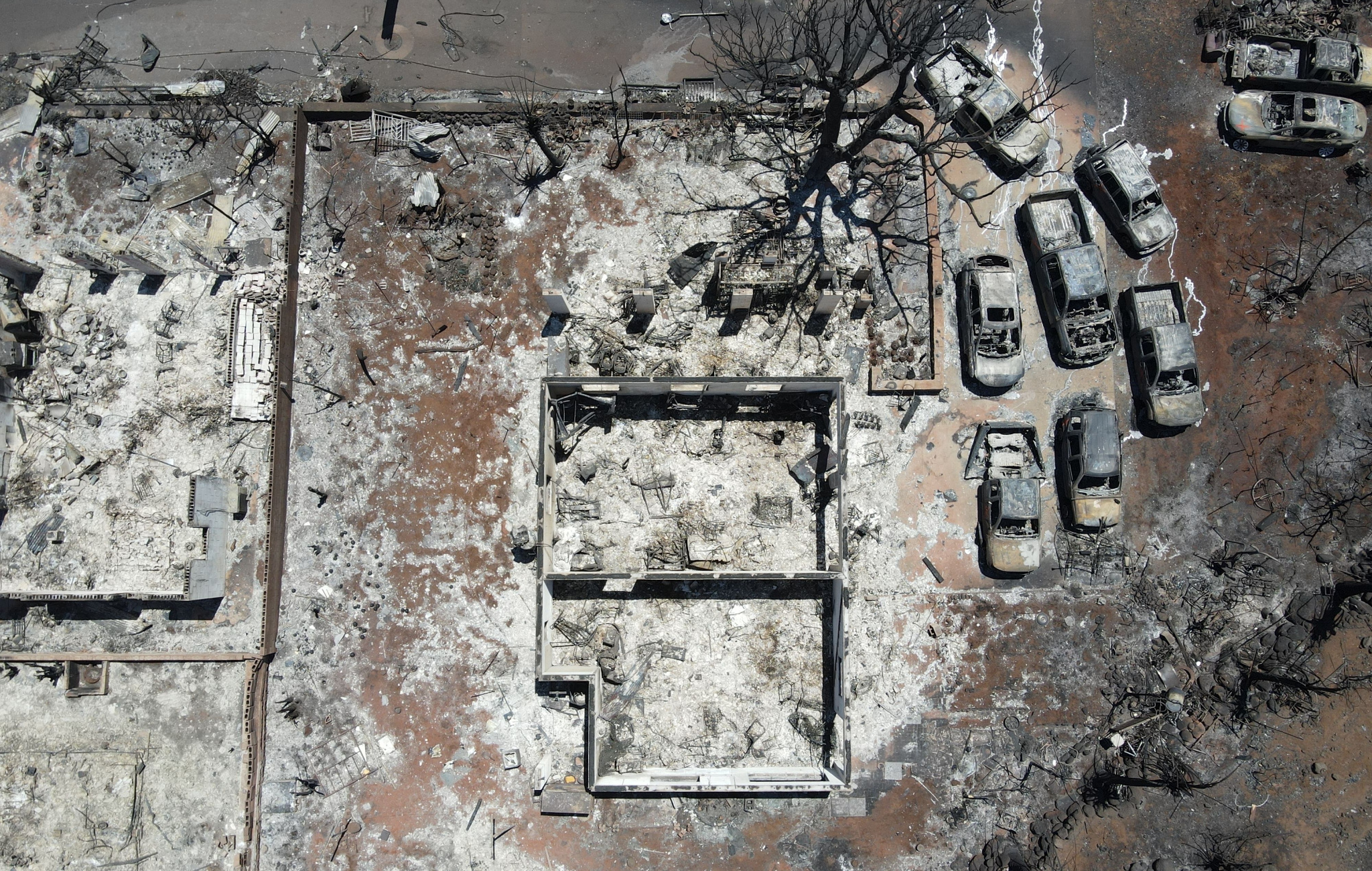 Blame, Trade-Offs, and the Maui Wildfires