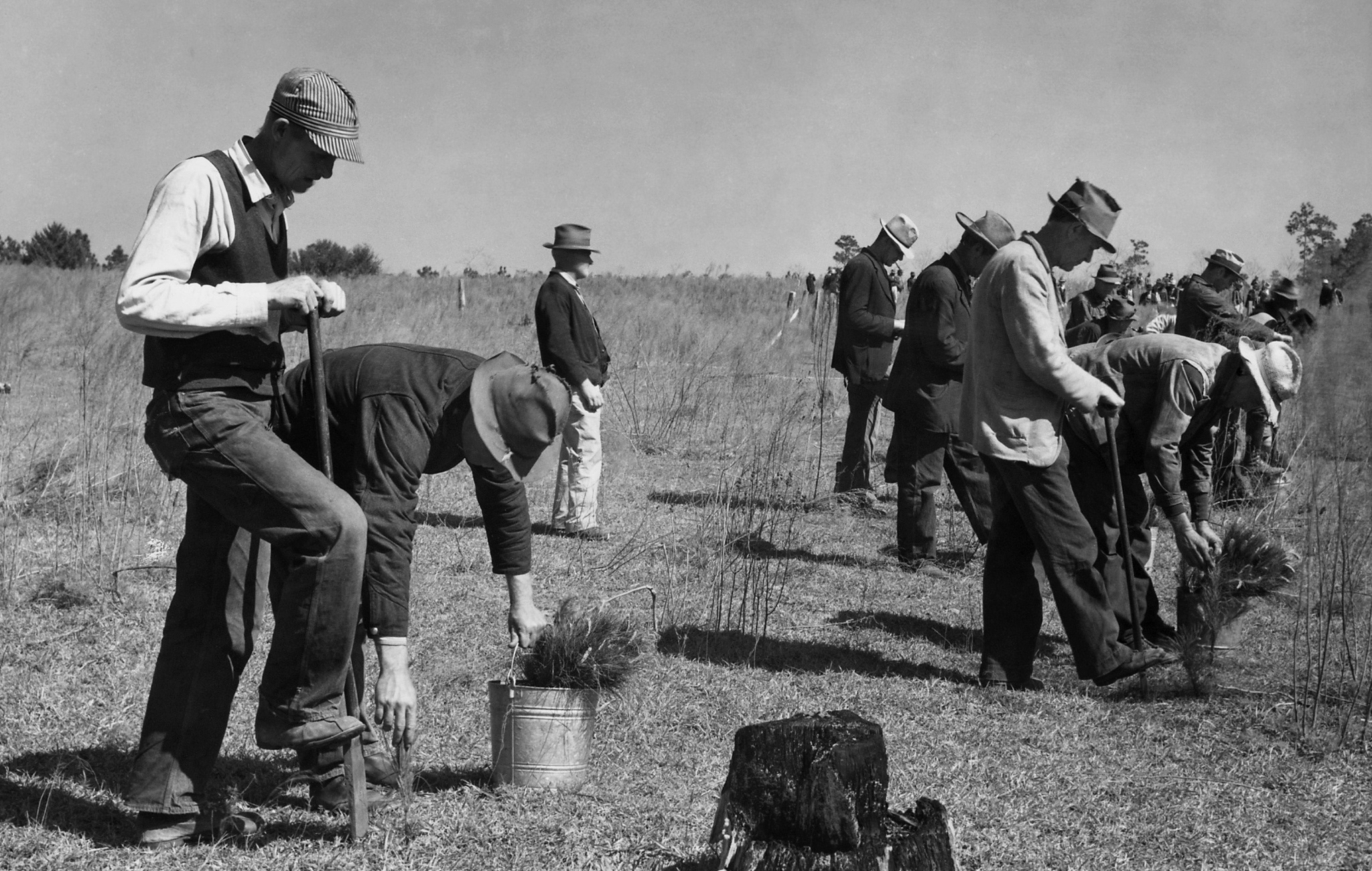 Announcing New Deal Rebels, edited by Amity Shlaes