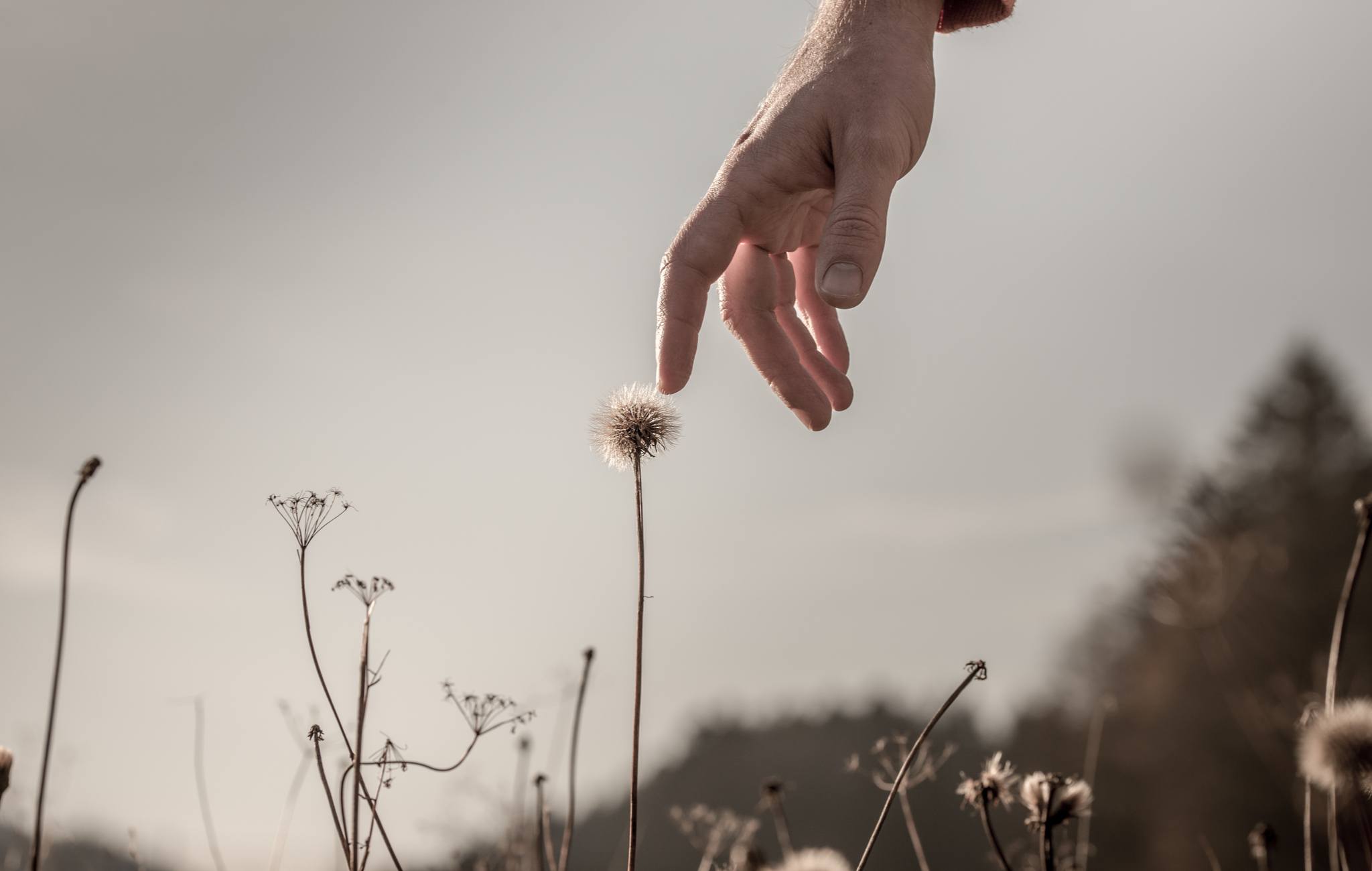 Fragility’s Triumph