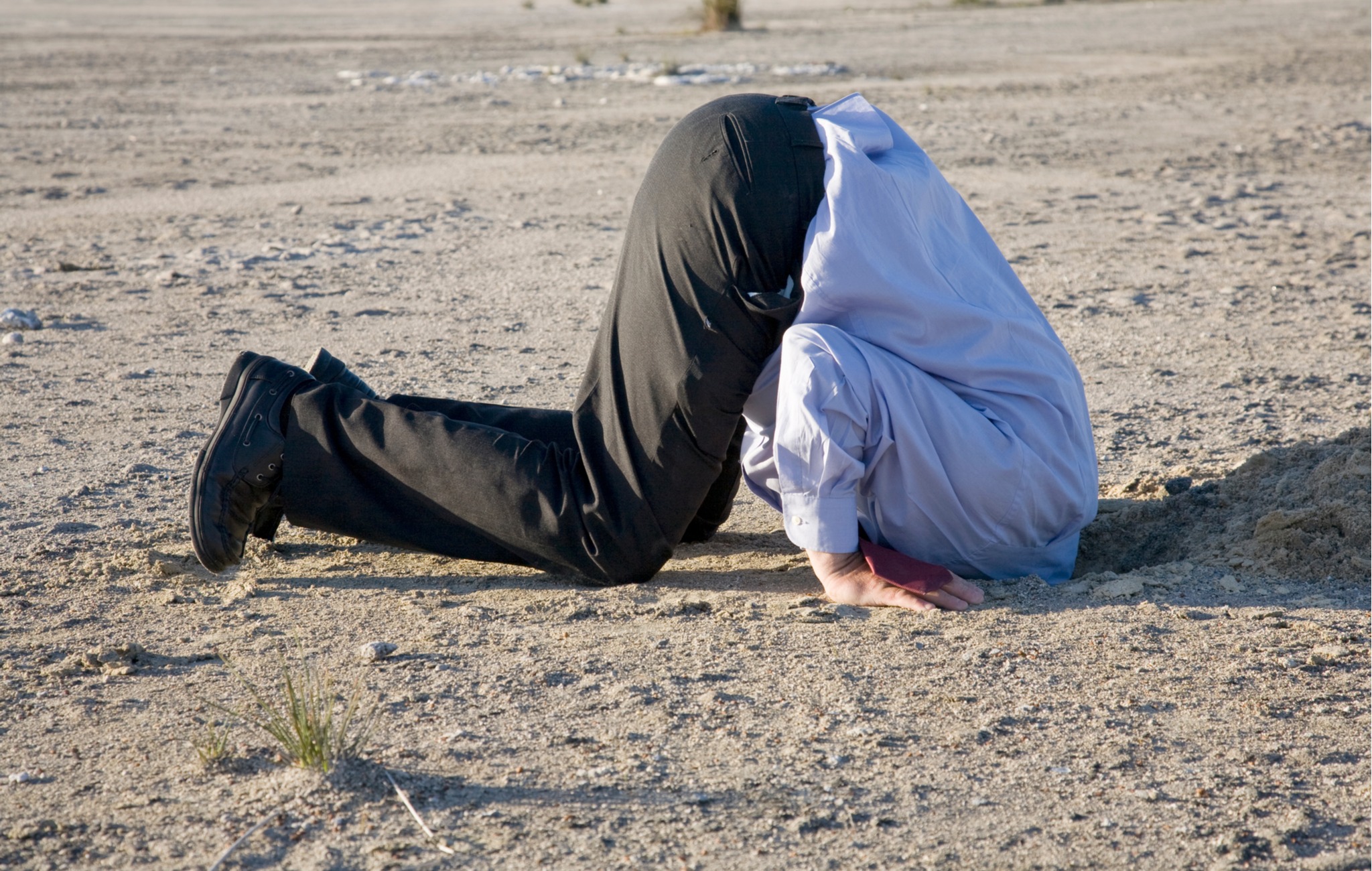 denialism, head in the sand