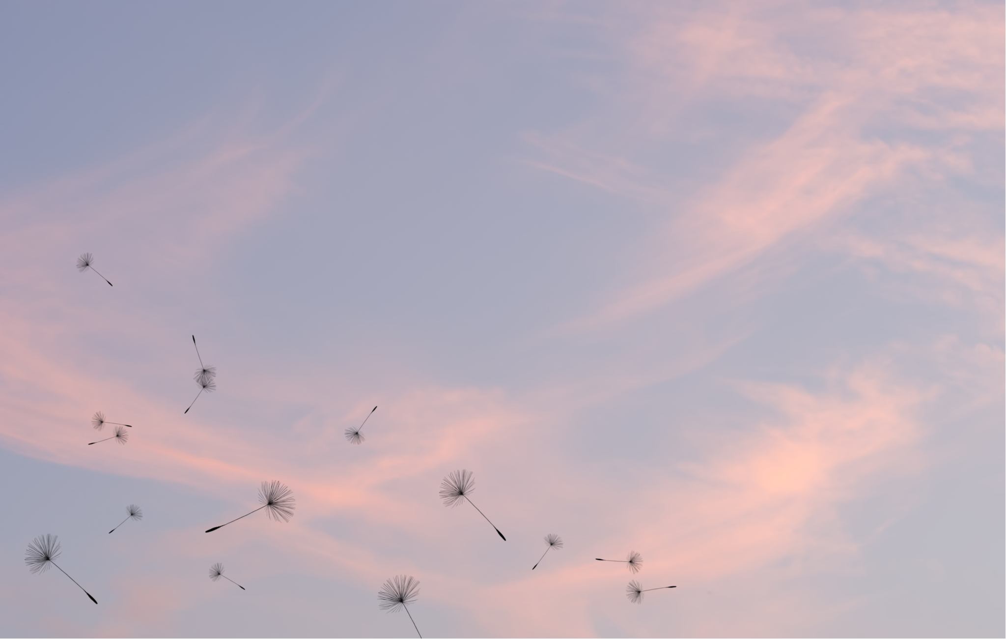 In Memoriam: Walter E. Williams, 1936-2020