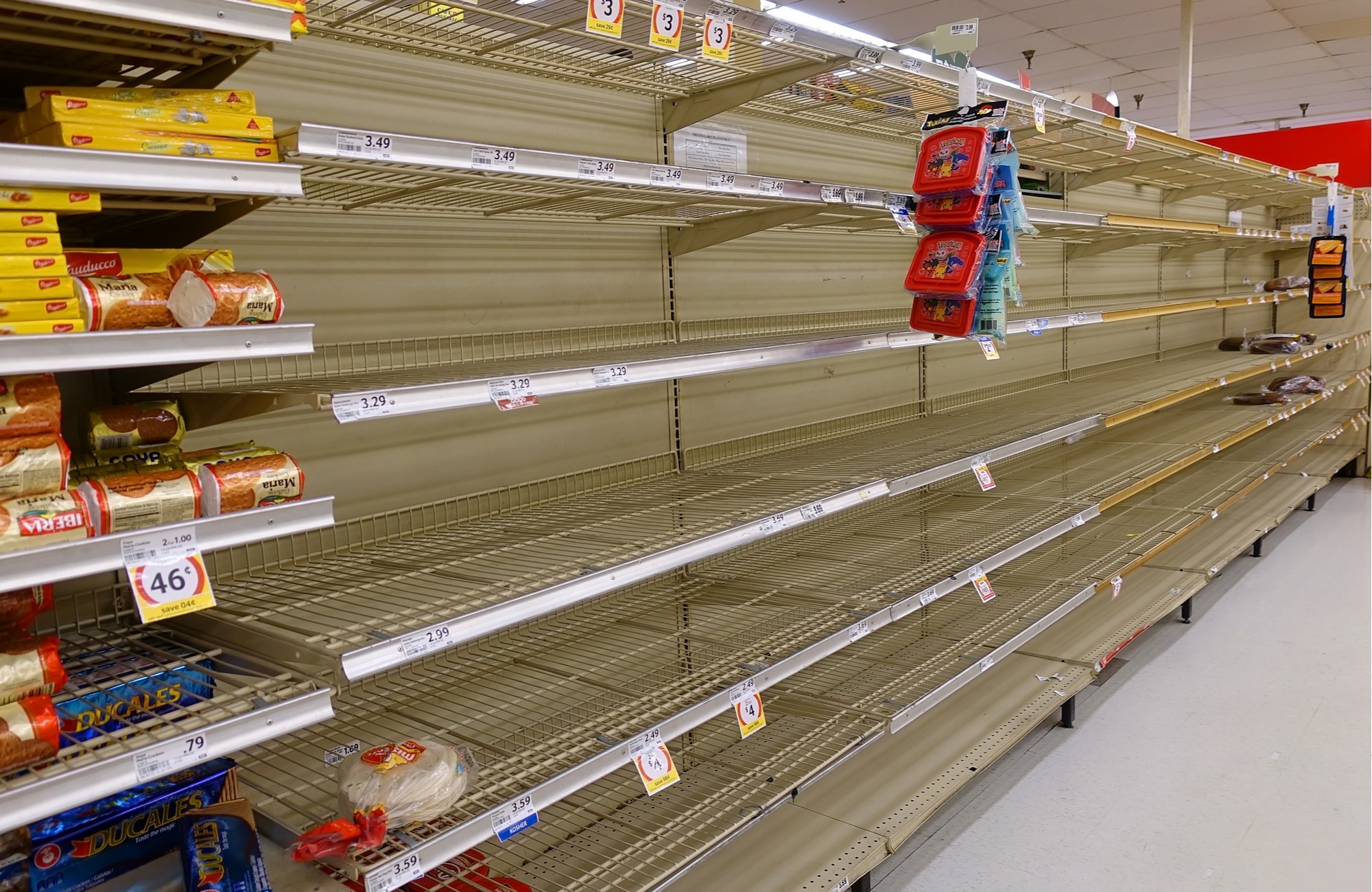 Those Shelves Wouldn't Be Empty If We Hadn't Stopped “Capitalism” | The  Daily Economy, image size:2000x1300