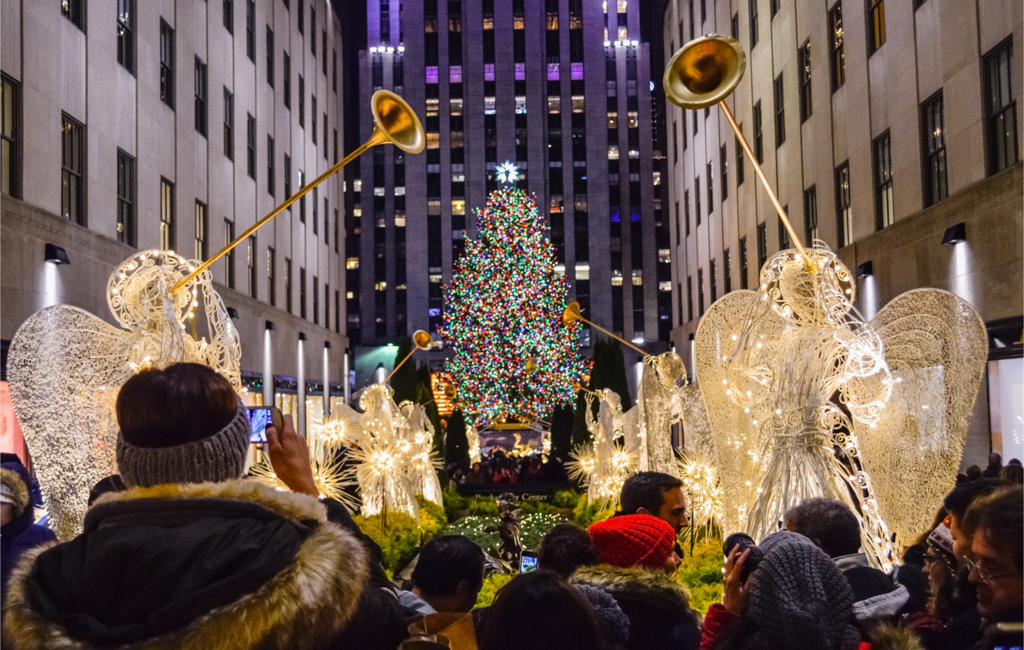 We Need a Principled Anti-Lockdown Movement | The Daily Economy