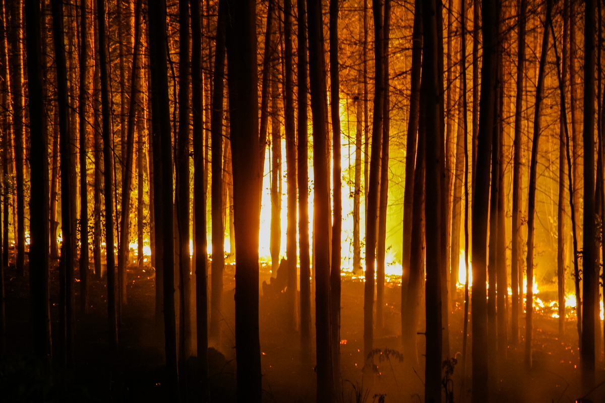 shutterstock_1433151821