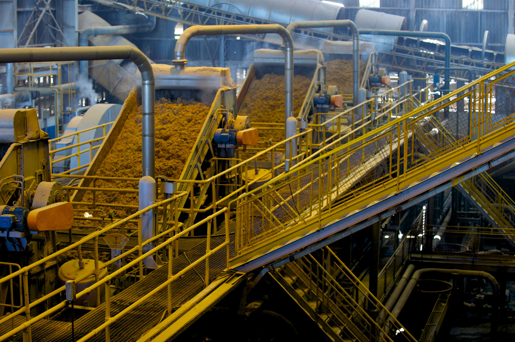 sugar-production