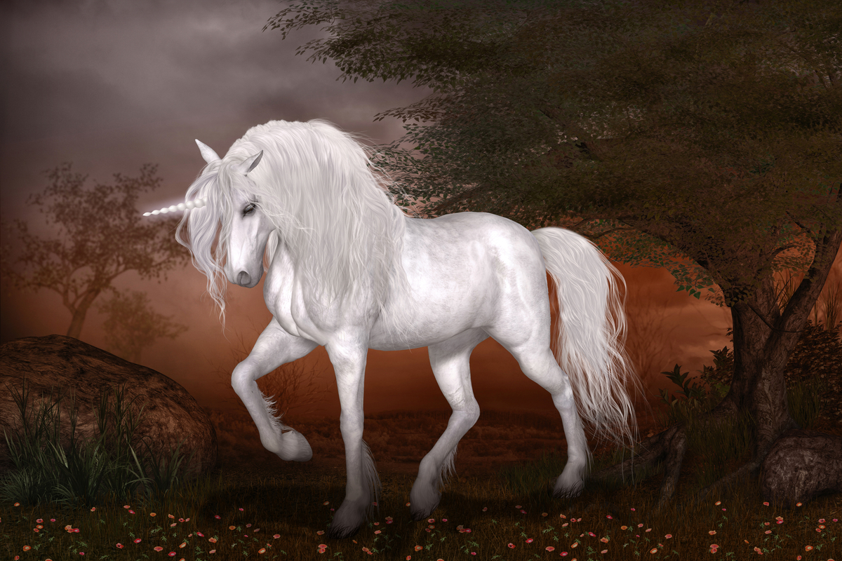 unicorn