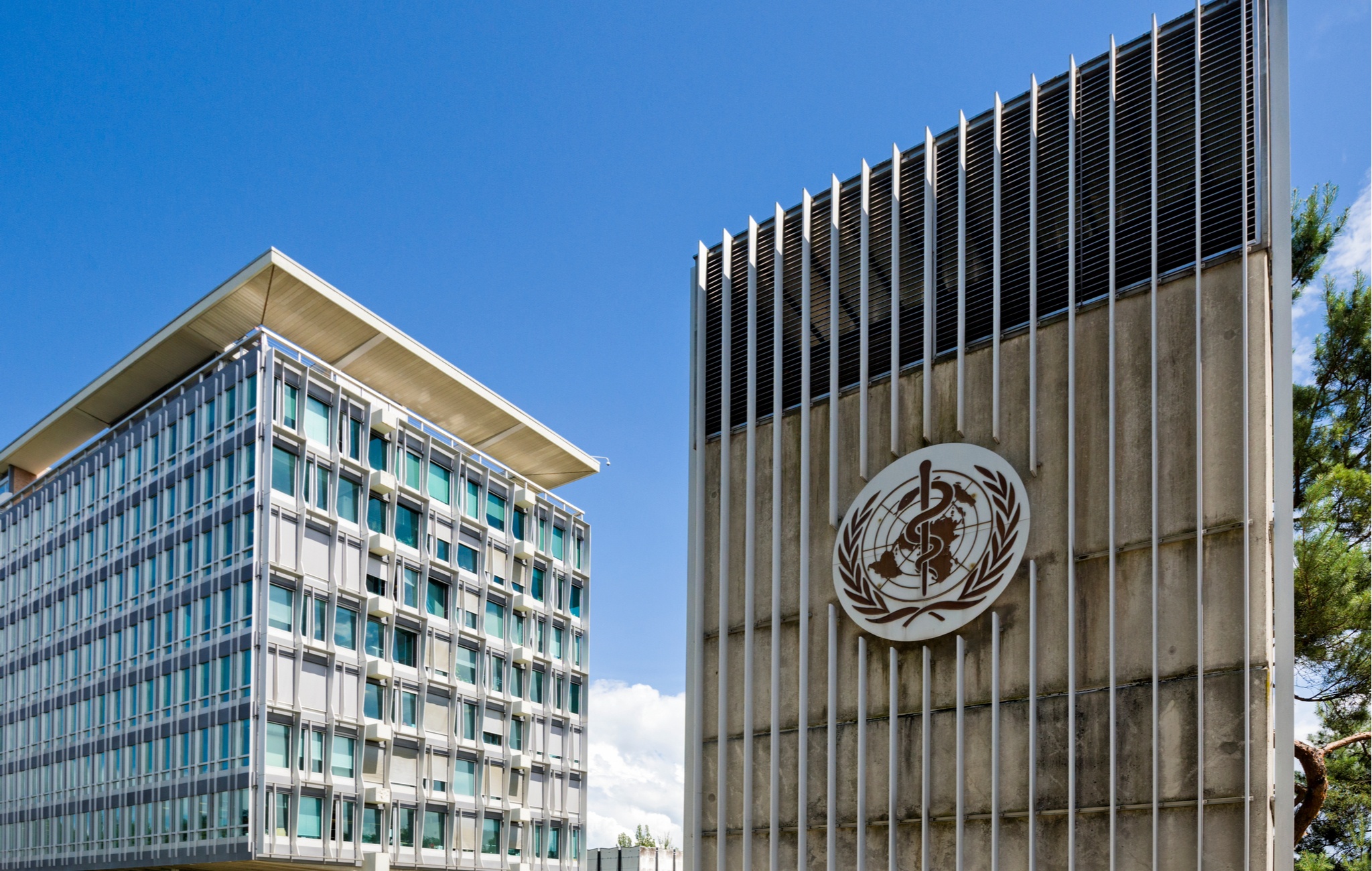 The World Health Organization Was Against Quarantines Only Last Year