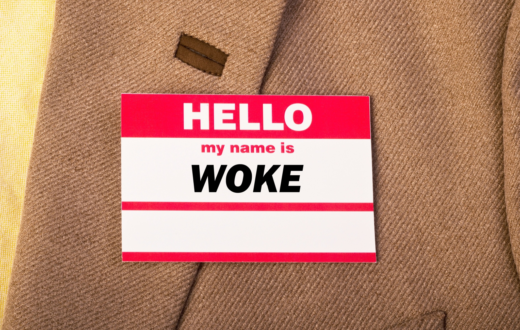 Who Are (or Were?) the Woke? 