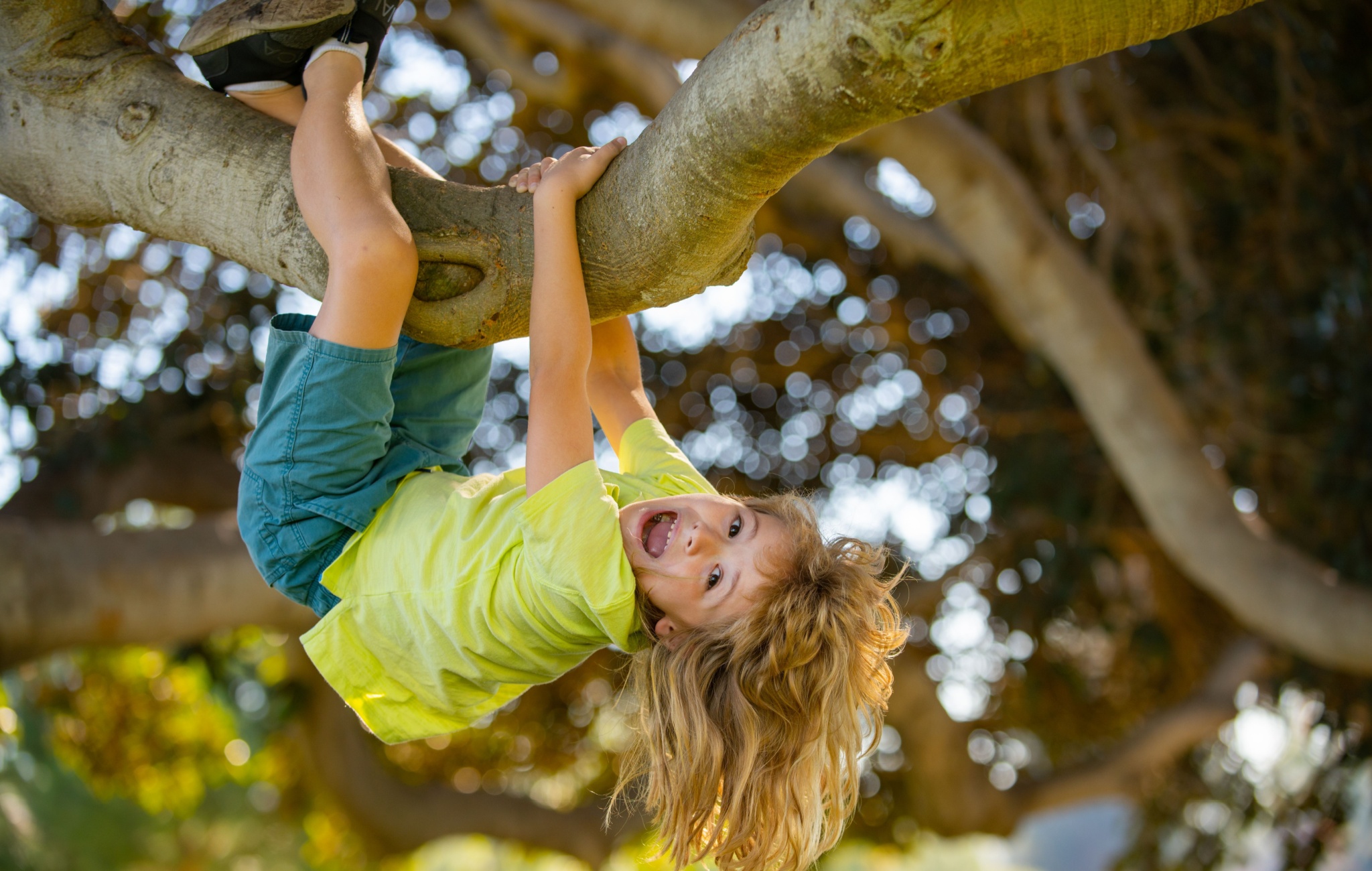 Liberty, Risk, and Permission to Live Dangerously