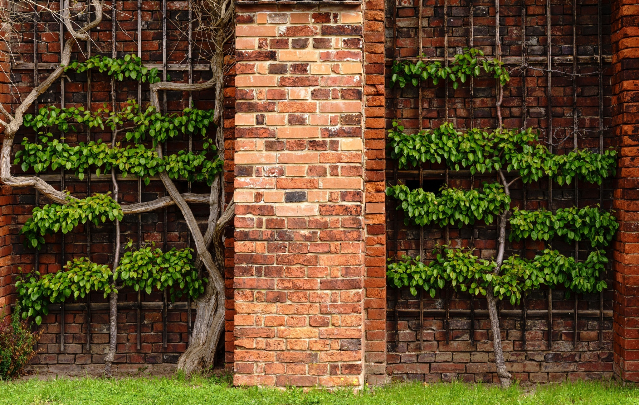 Ordoliberalism as a Response to Populism 