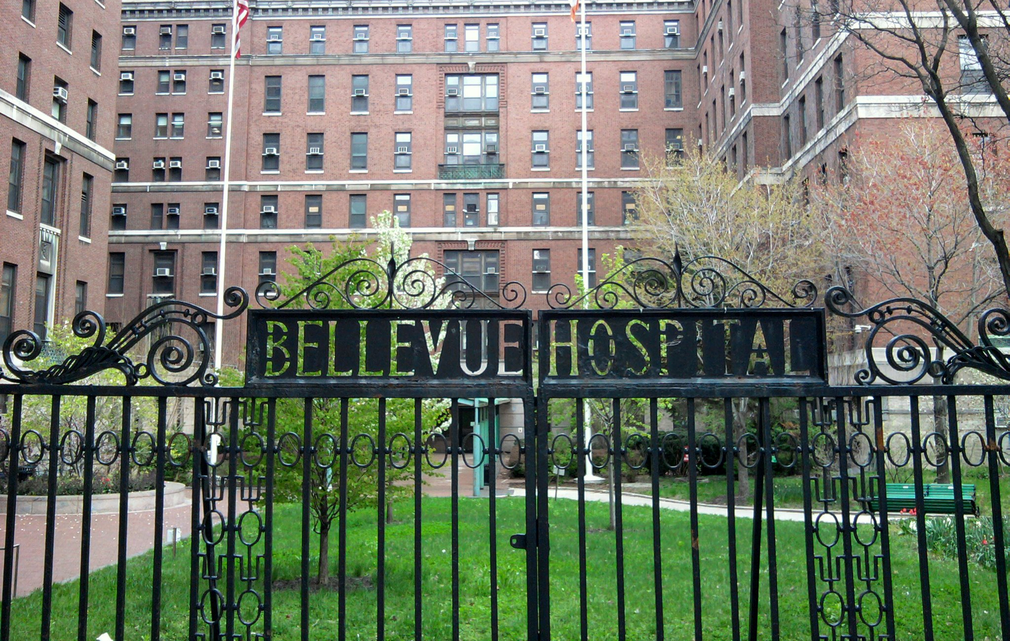 Can Zohran Mamdani Force Doctors to Treat Patients?