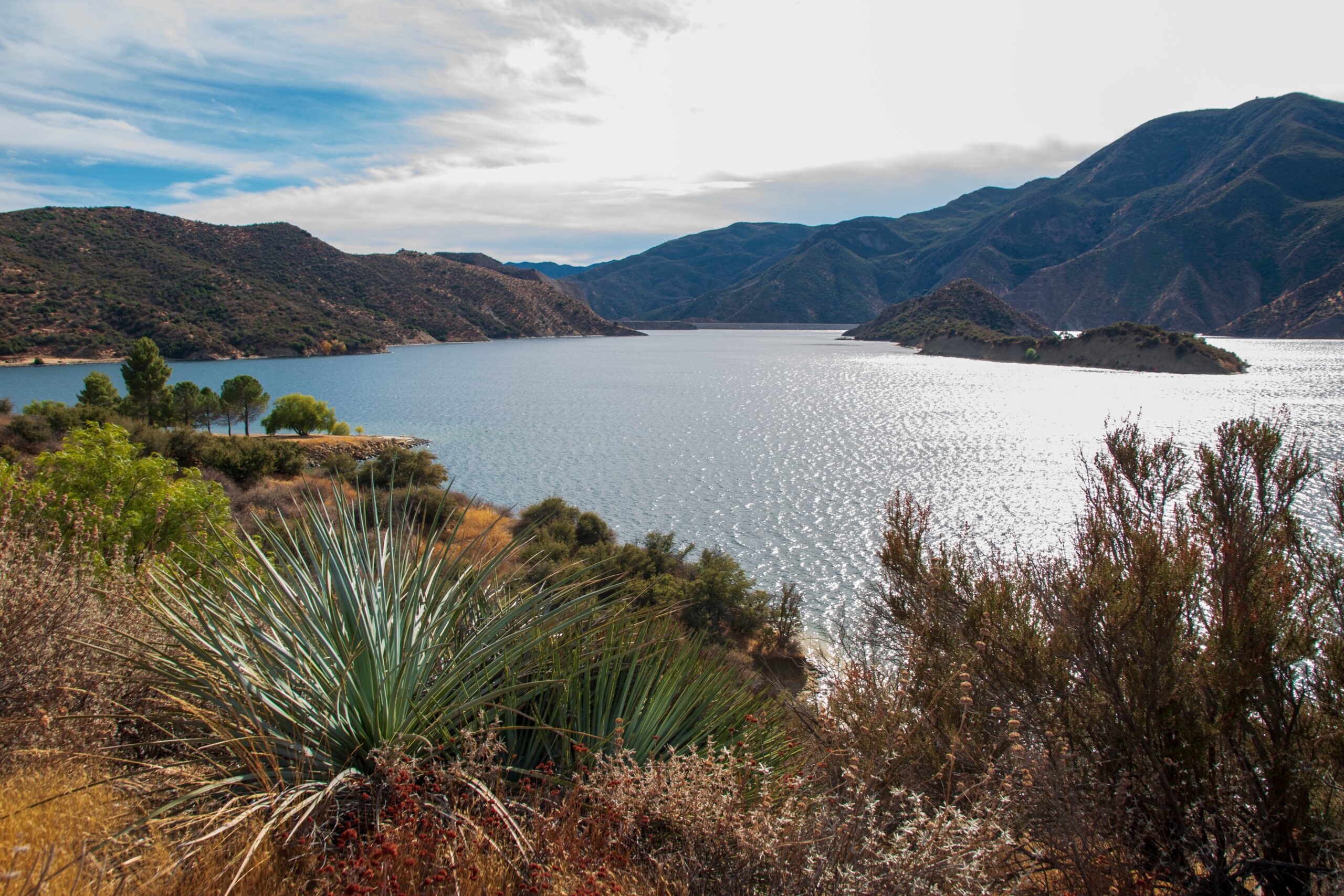 California’s Water Crisis Isn’t a Drought—It’s Bad Policy