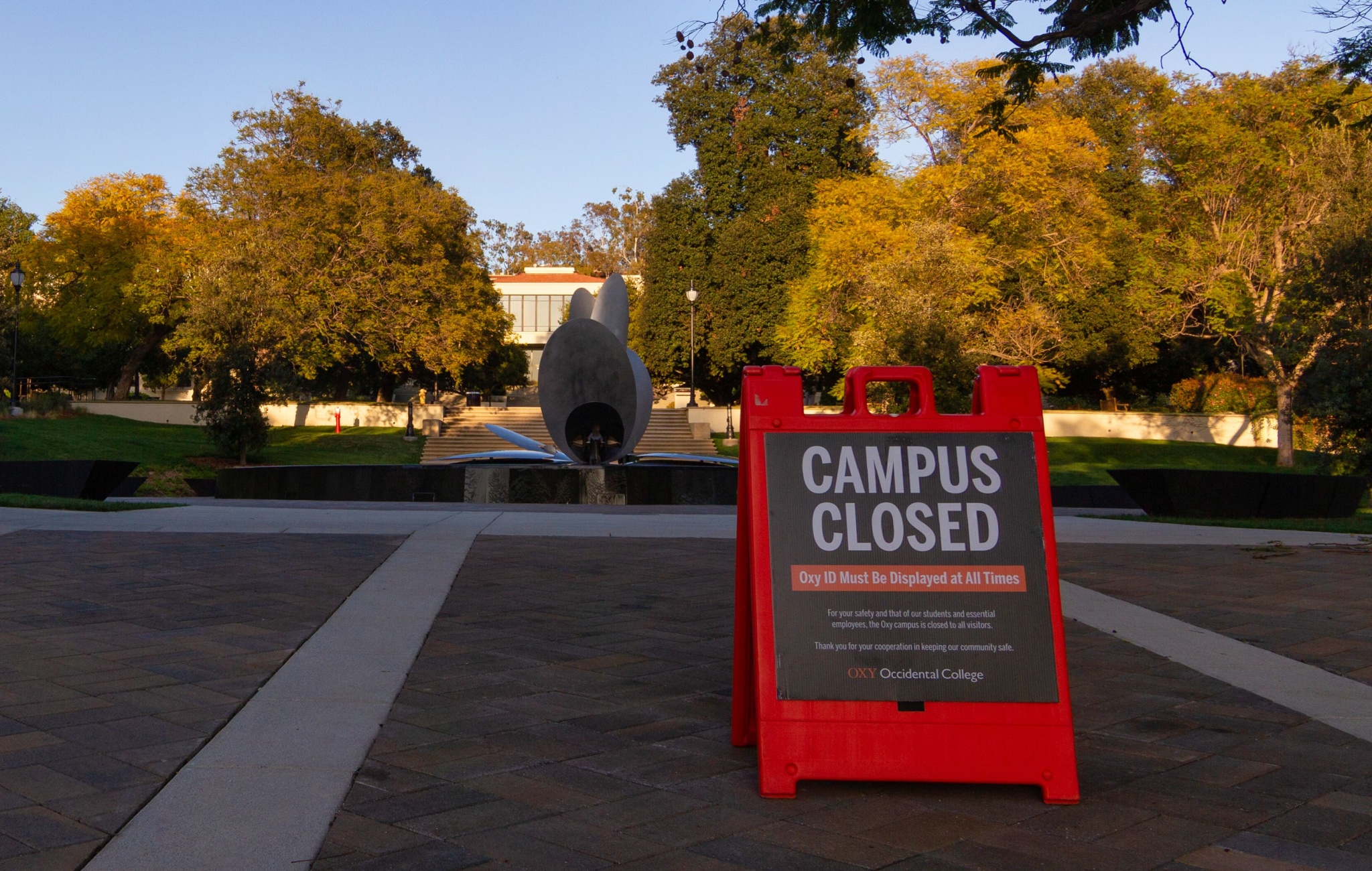 The Long Shadow of COVID School Closures
