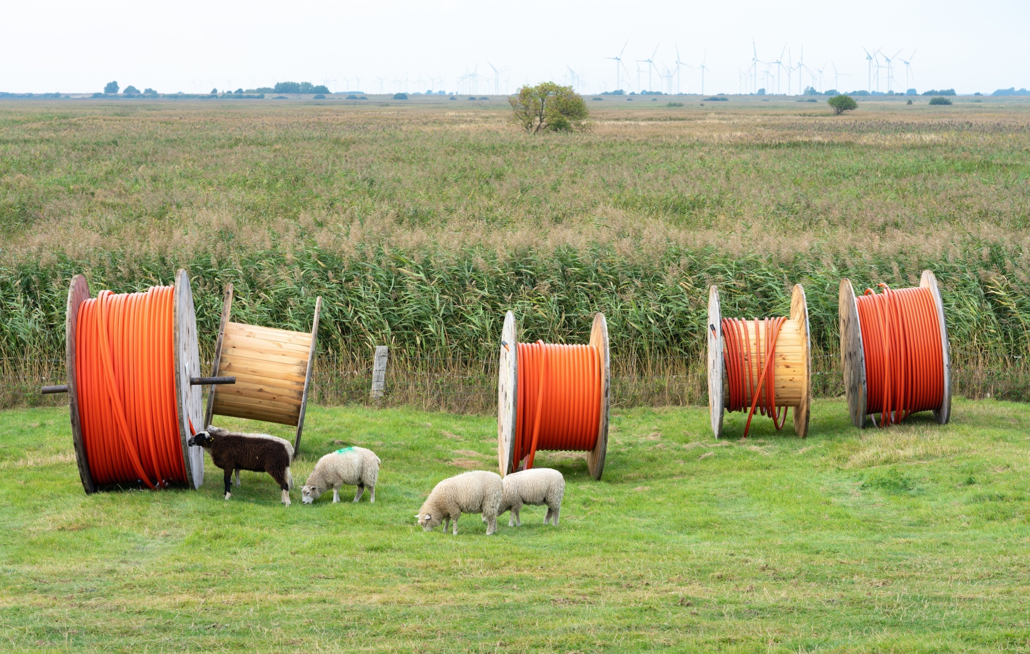 Getting The Bureaucracy Out of Broadband