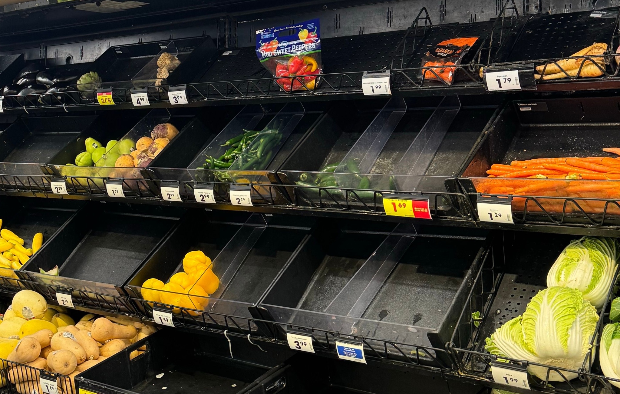 The Knowledge Problem Dooms Municipal Grocery Stores Every Time | The Daily Economy