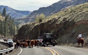 Protectionism Won’t Feed North America: Don’t Scrap the US-Mexico-Canada Agreement Protectionism Won’t Feed North America: Don’t Scrap the US-Mexico-Canada Agreement