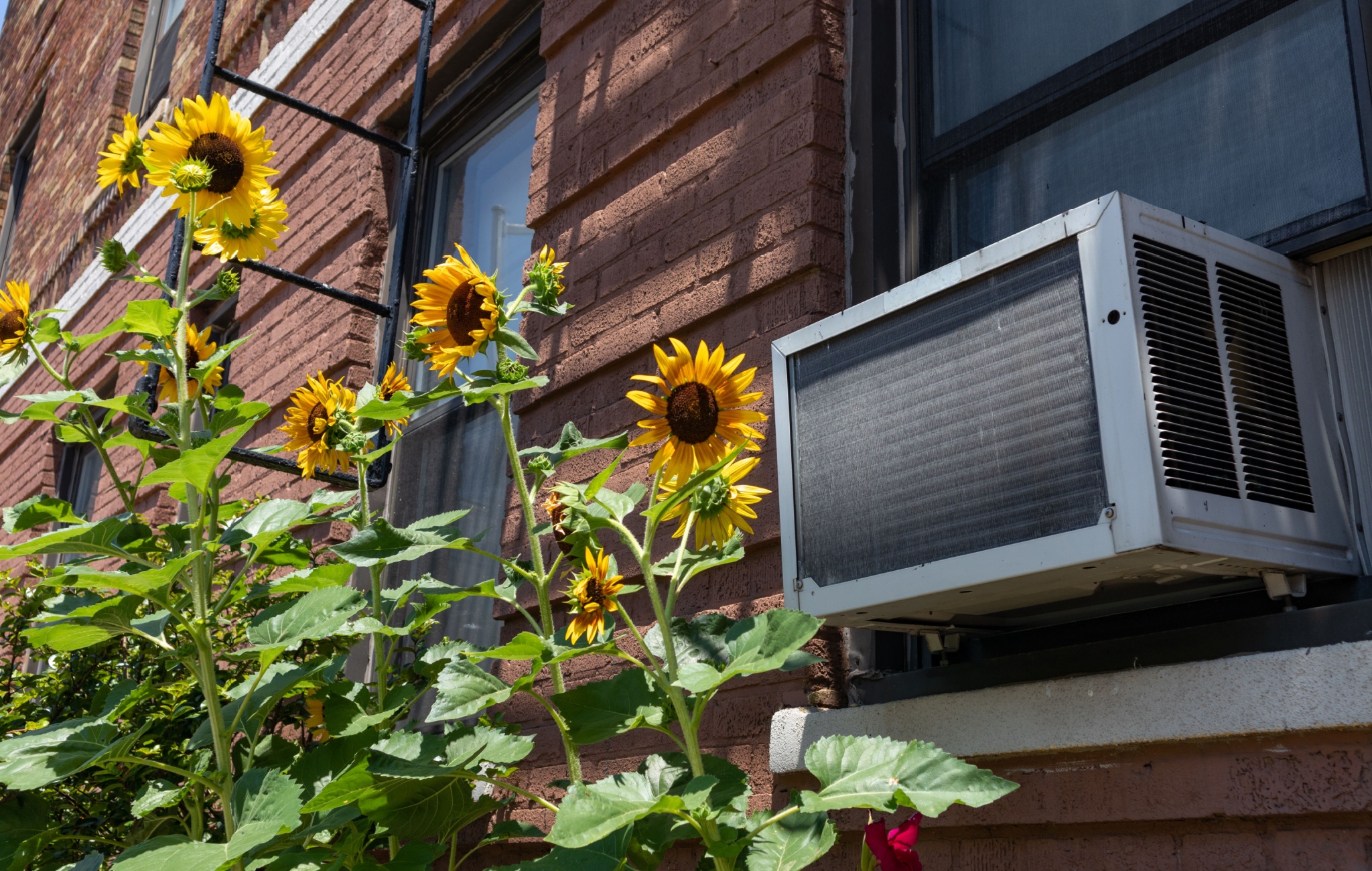 Keeping Cool: The Air Conditioner That Changed America