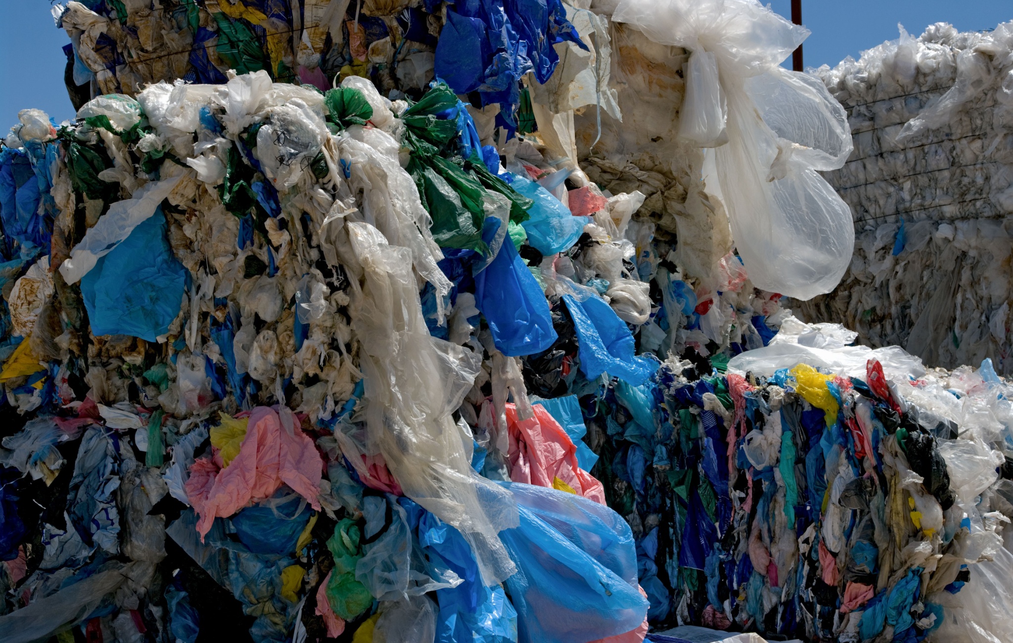 Cali Lawmakers Admit the Plastic Bag Ban Backfired, So They’re Doubling Down