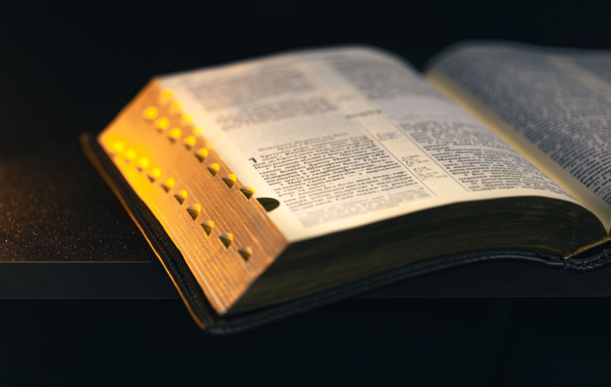 Intersections Between the Bible and Economics 
